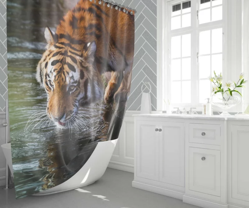 Tiger Bold Stance Wilderness Majesty Shower Curtain 1