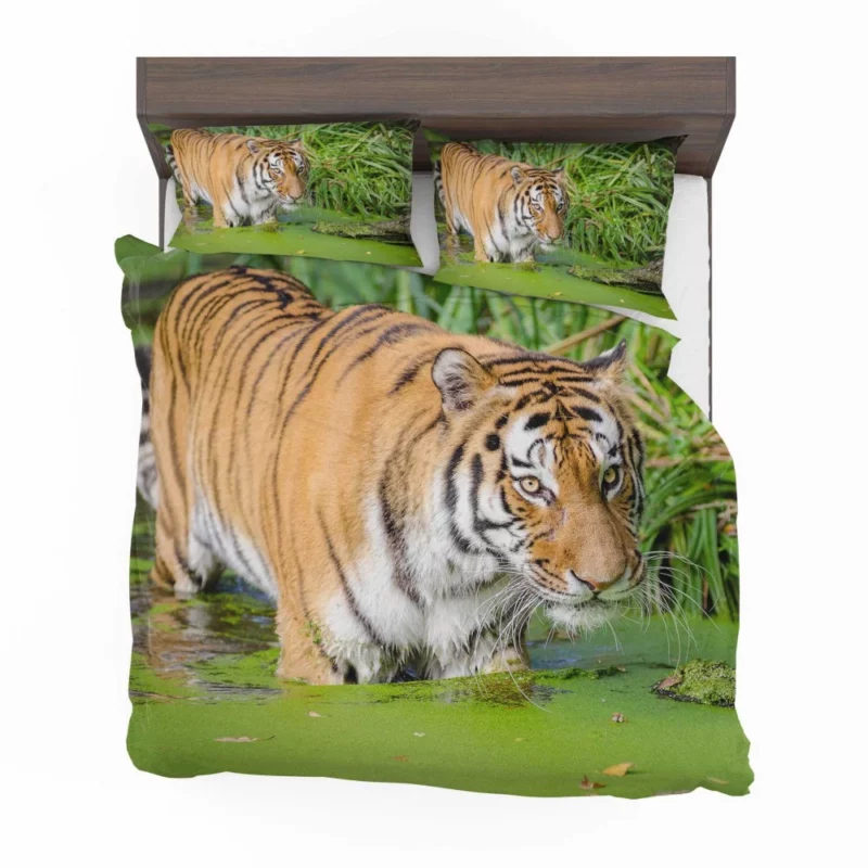 Tiger Close-Up in Water Captivating Beauty Bedding Set 1