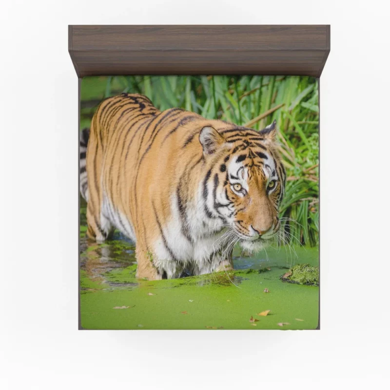 Tiger Close-Up in Water Captivating Beauty Fitted Sheet 1