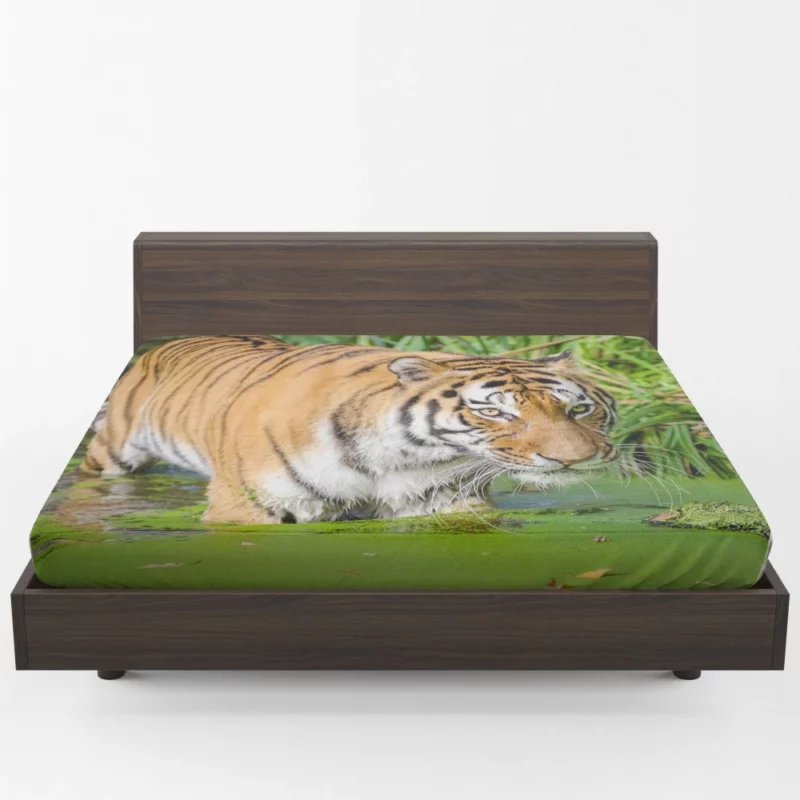 Tiger Close-Up in Water Captivating Beauty Fitted Sheet