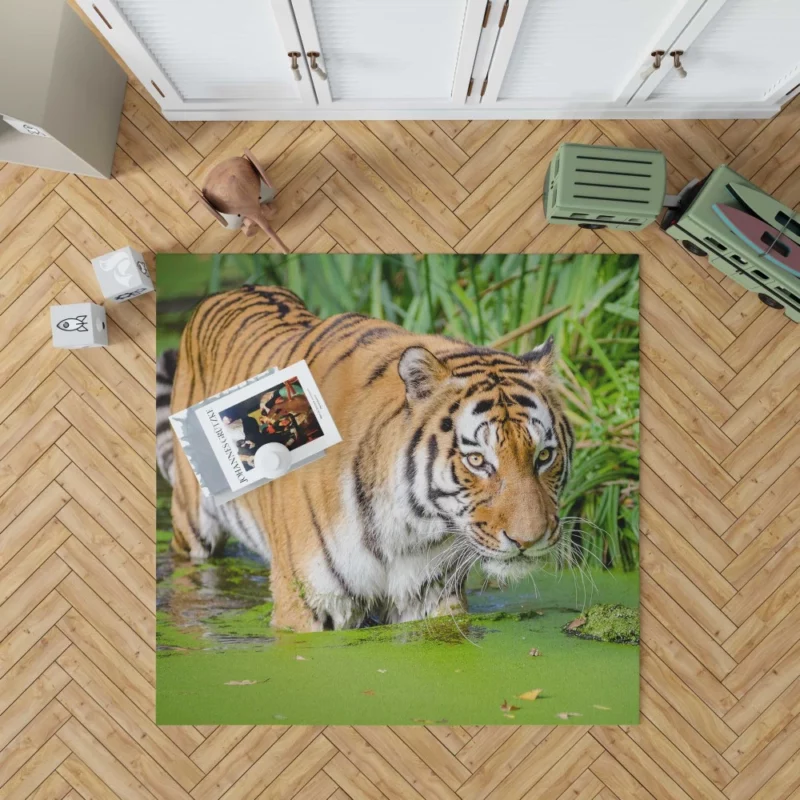 Tiger Close-Up in Water Captivating Beauty Rug