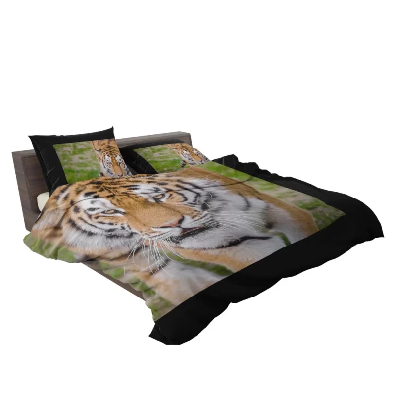 Tiger Colorful Bedding Set 2