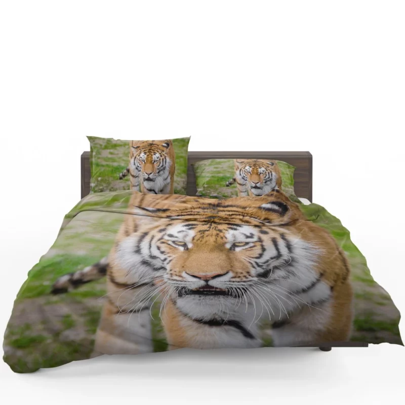 Tiger Colorful Bedding Set