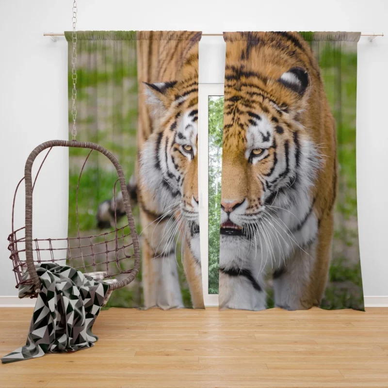 Tiger Colorful Curtain