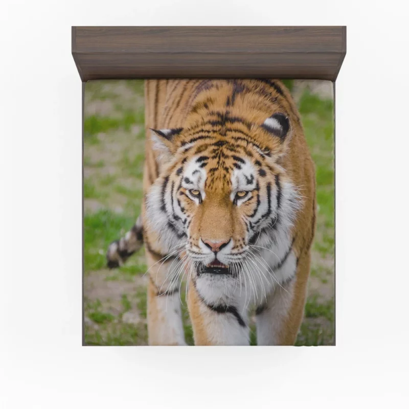 Tiger Colorful Fitted Sheet 1