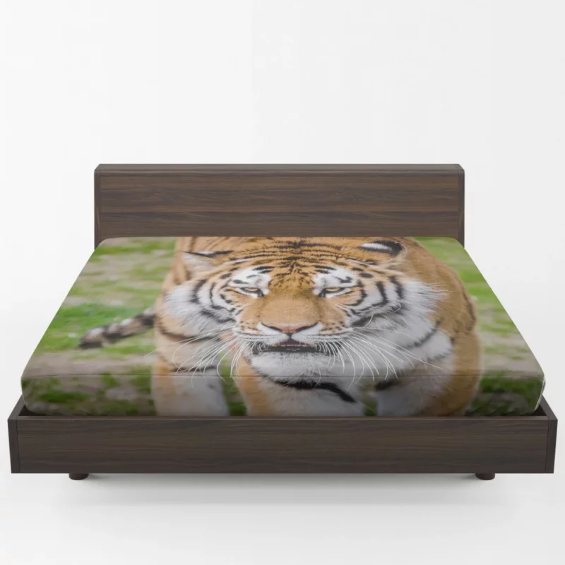 Tiger Colorful Fitted Sheet