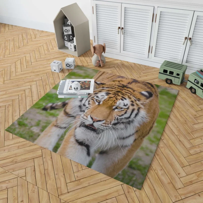 Tiger Colorful Rug 1