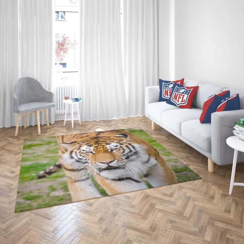 Tiger Colorful Rug 2