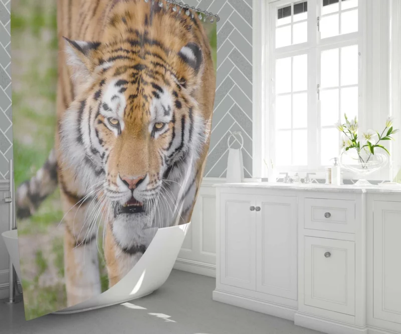 Tiger Colorful Shower Curtain 1