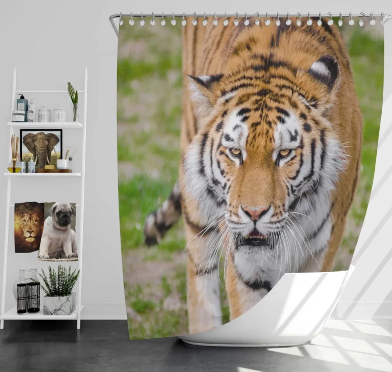 Tiger Colorful Shower Curtain