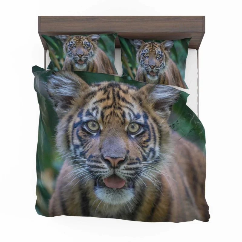 Tiger Cub Gaze Enchanted Wilderness Bedding Set 1