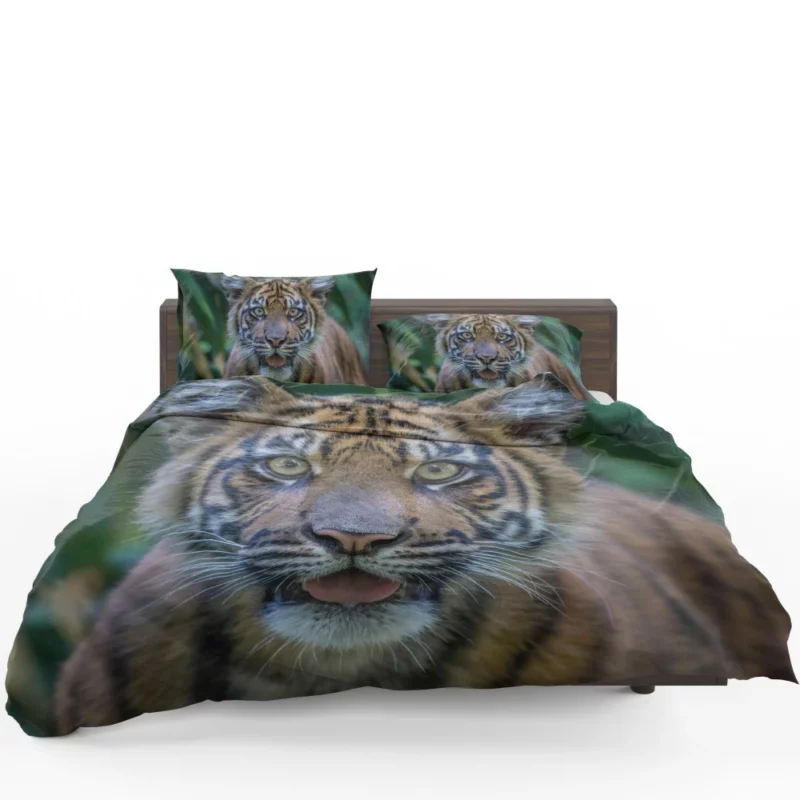 Tiger Cub Gaze Enchanted Wilderness Bedding Set