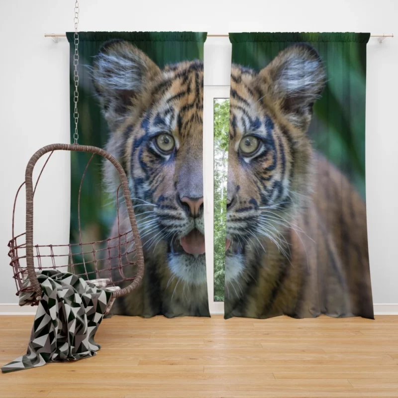 Tiger Cub Gaze Enchanted Wilderness Curtain