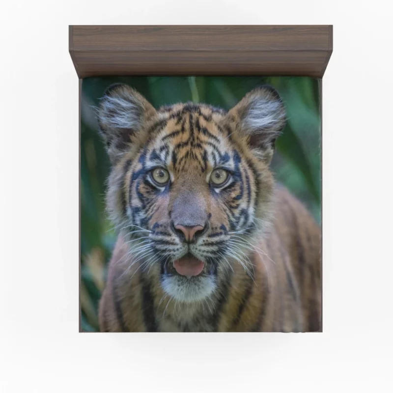 Tiger Cub Gaze Enchanted Wilderness Fitted Sheet 1