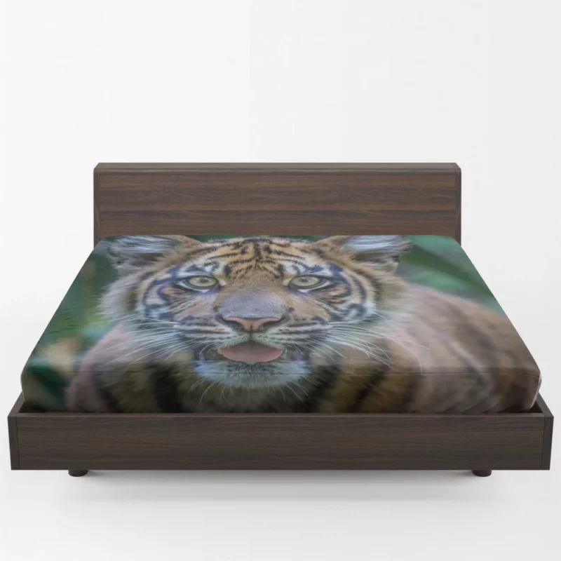 Tiger Cub Gaze Enchanted Wilderness Fitted Sheet