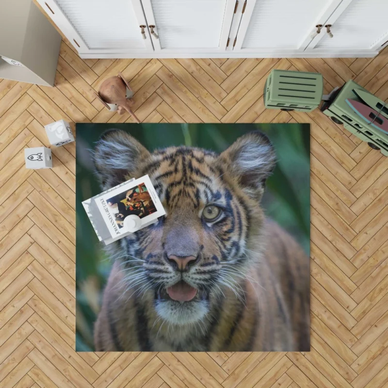 Tiger Cub Gaze Enchanted Wilderness Rug