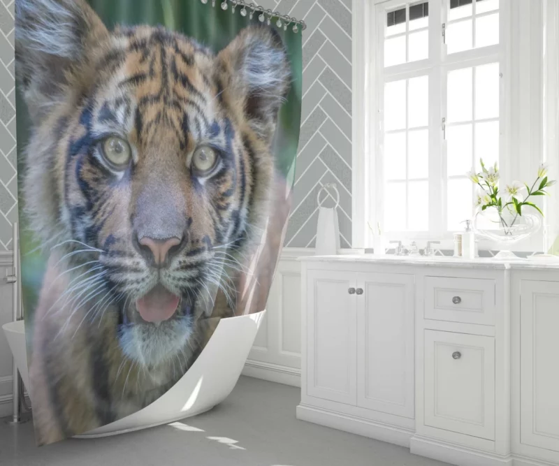 Tiger Cub Gaze Enchanted Wilderness Shower Curtain 1