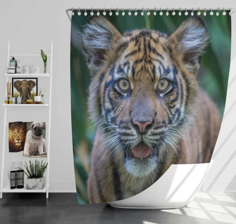 Tiger Cub Gaze Enchanted Wilderness Shower Curtain