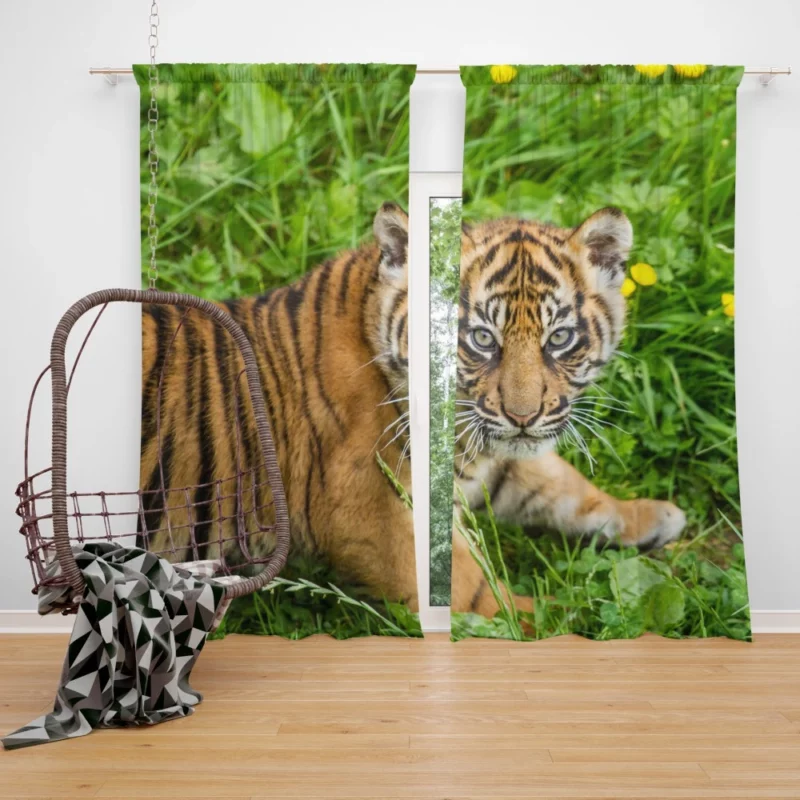 Tiger Cub Grassland Antics Wild Charm Curtain