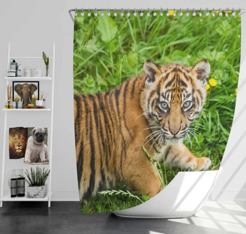 Tiger Cub Grassland Antics Wild Charm Shower Curtain