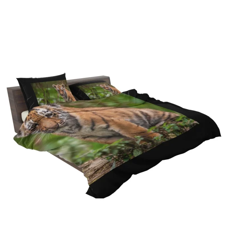 Tiger Cub Playful Charm Wilderness Joy Bedding Set 2