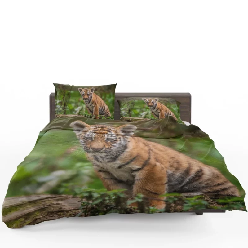 Tiger Cub Playful Charm Wilderness Joy Bedding Set