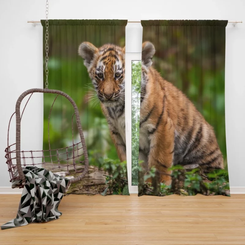 Tiger Cub Playful Charm Wilderness Joy Curtain