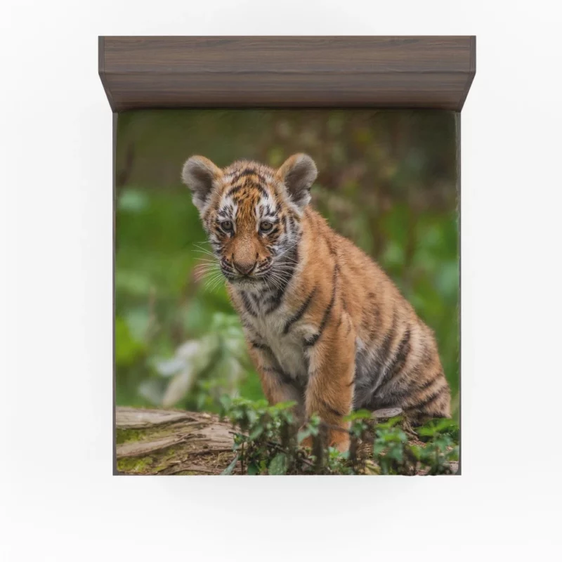 Tiger Cub Playful Charm Wilderness Joy Fitted Sheet 1