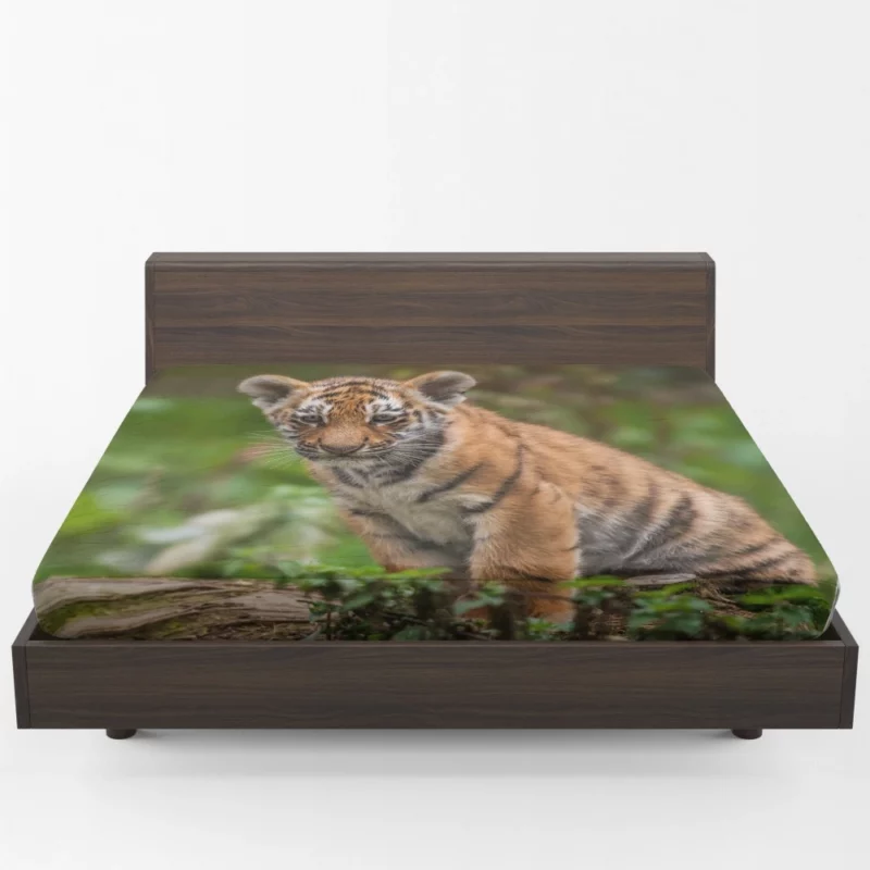 Tiger Cub Playful Charm Wilderness Joy Fitted Sheet