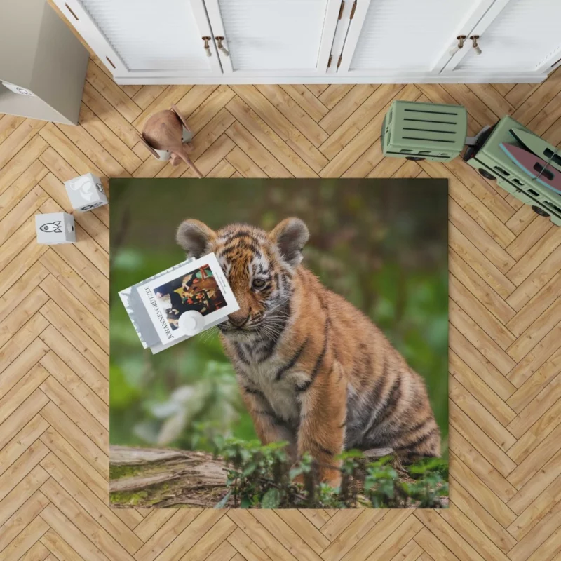 Tiger Cub Playful Charm Wilderness Joy Rug