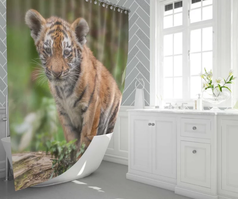 Tiger Cub Playful Charm Wilderness Joy Shower Curtain 1