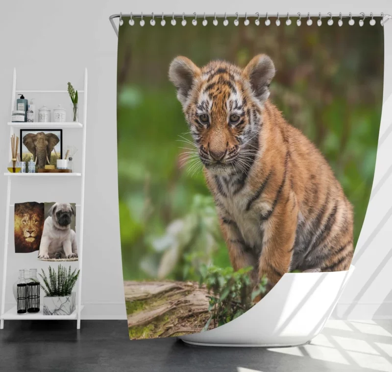 Tiger Cub Playful Charm Wilderness Joy Shower Curtain