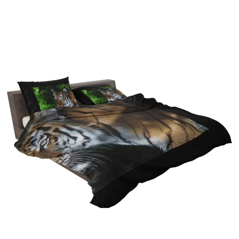 Tiger Dangerous Bedding Set 2