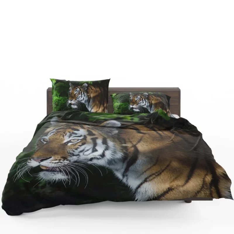 Tiger Dangerous Bedding Set