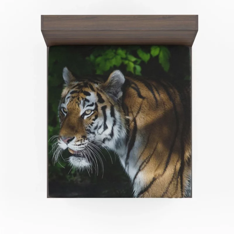 Tiger Dangerous Fitted Sheet 1