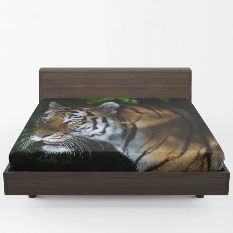 Tiger Dangerous Fitted Sheet