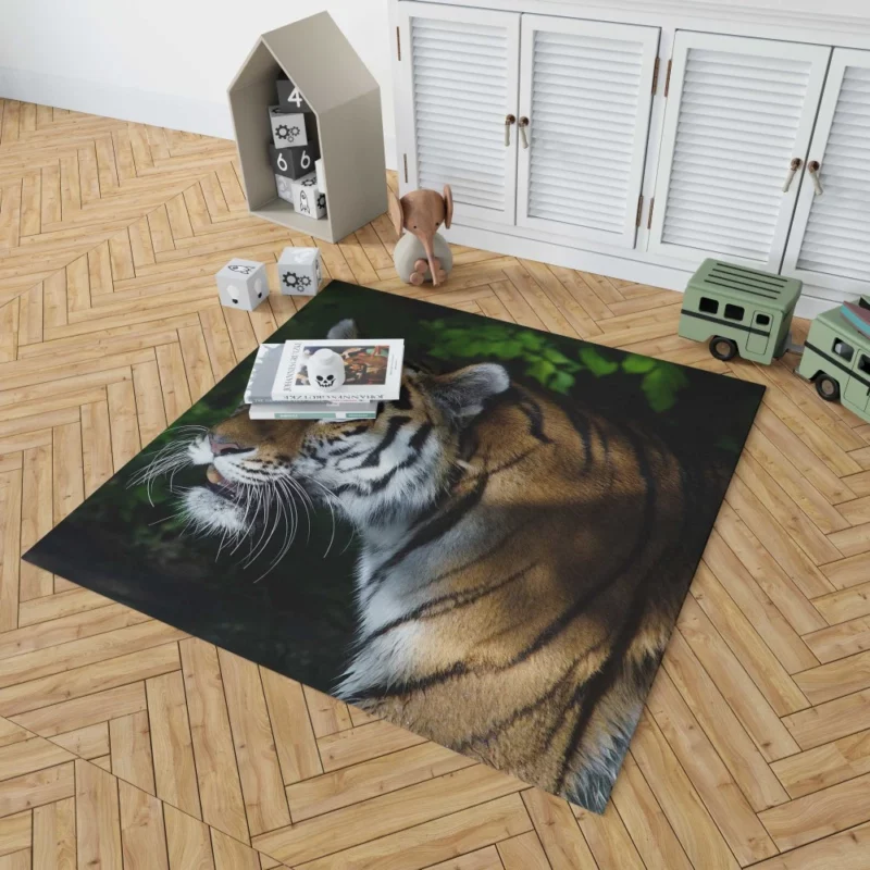 Tiger Dangerous Rug 1