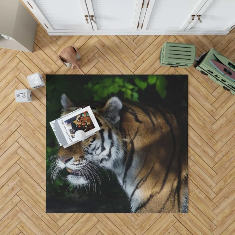 Tiger Dangerous Rug