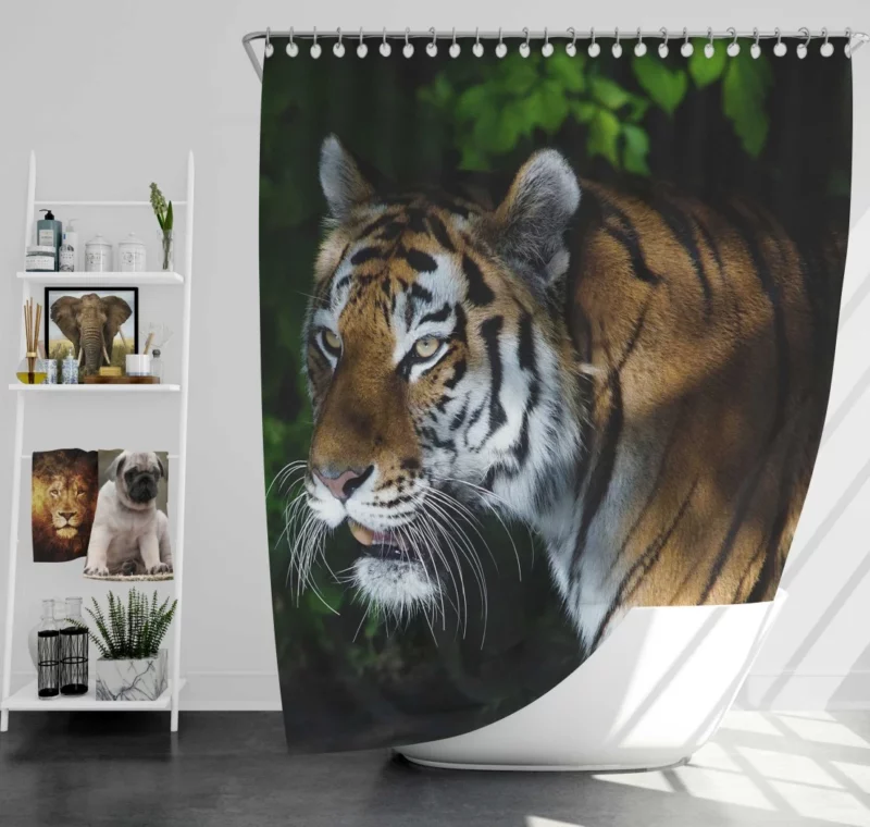 Tiger Dangerous Shower Curtain