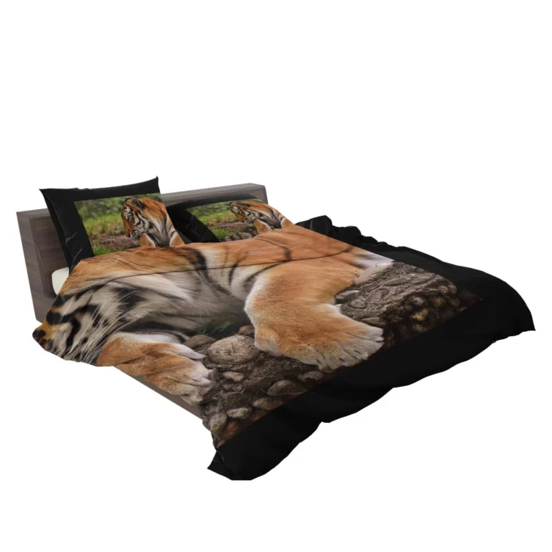 Tiger Dominance Bedding Set 2