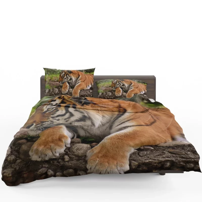 Tiger Dominance Bedding Set