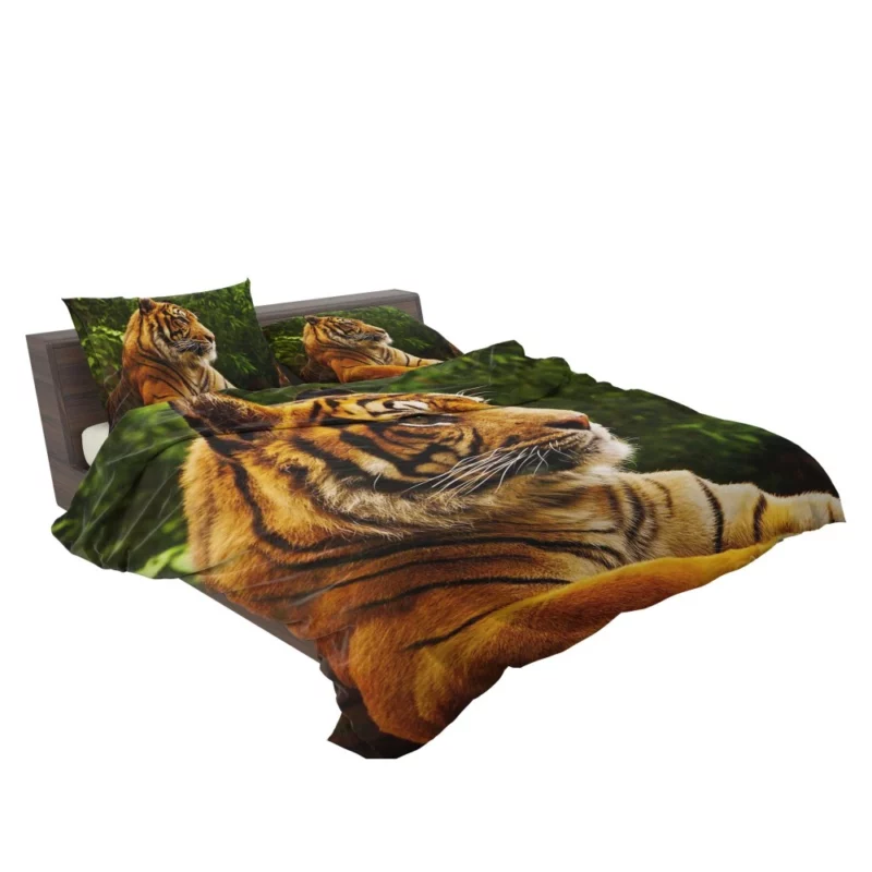 Tiger Dominance Fierce Majesty Bedding Set 2