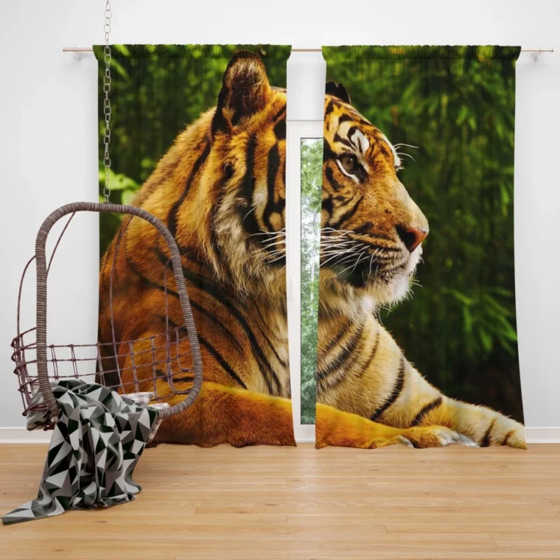 Tiger Dominance Fierce Majesty Curtain