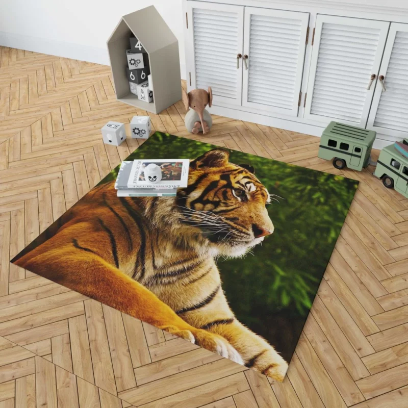 Tiger Dominance Fierce Majesty Rug 1