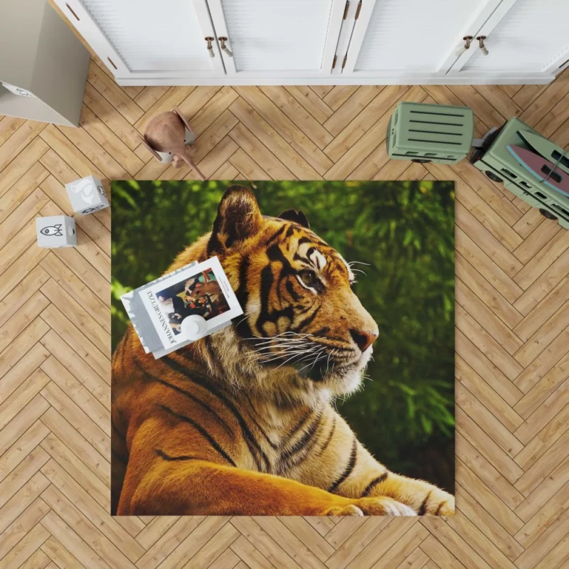 Tiger Dominance Fierce Majesty Rug