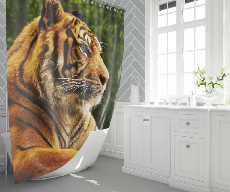 Tiger Dominance Fierce Majesty Shower Curtain 1