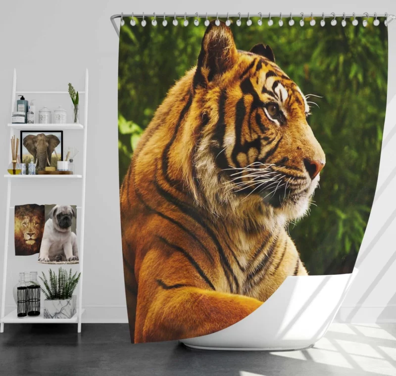 Tiger Dominance Fierce Majesty Shower Curtain