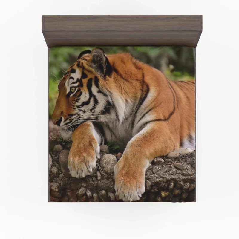 Tiger Dominance Fitted Sheet 1