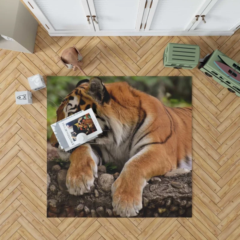 Tiger Dominance Rug