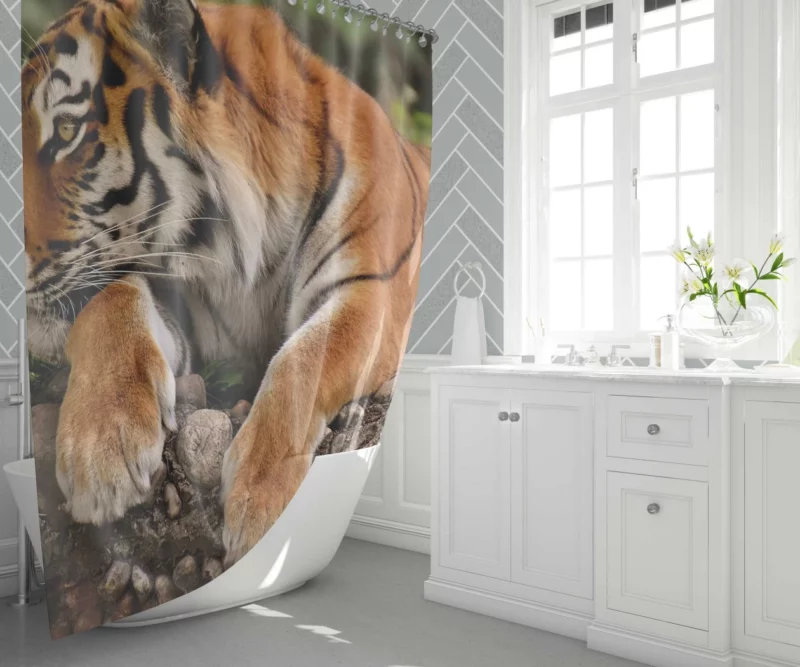 Tiger Dominance Shower Curtain 1